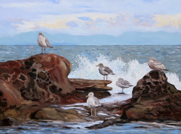 A Gull's Day by Terrill Welch 