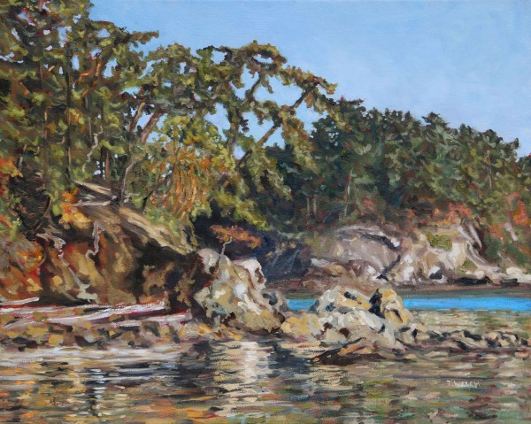 Bennett Bay Afternoon by Terrill Welch 