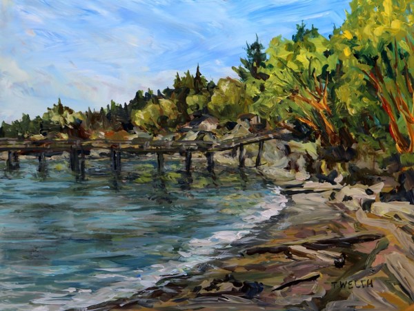 Bennett Bay Mayne Island by Terrill Welch