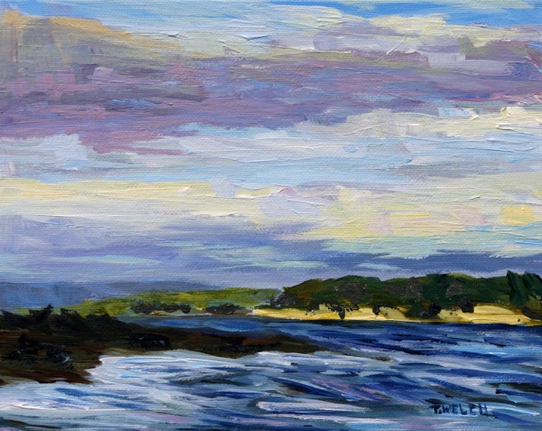 December Sea Vancouver Island by Terrill Welch 
