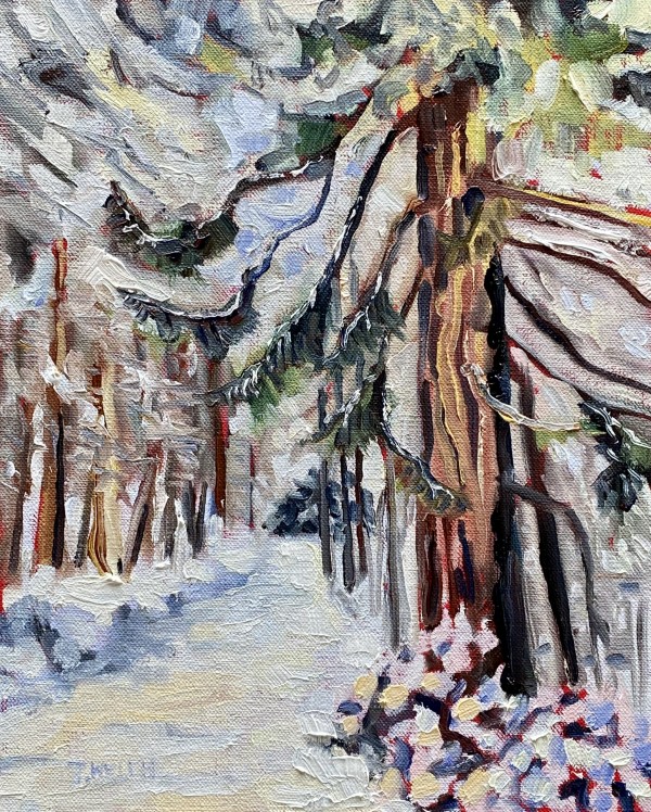 First Snow on the Trail by Terrill Welch