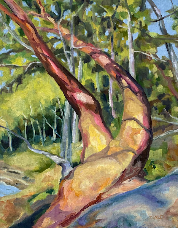 Lady Arbutus by Terrill Welch, Image 1.