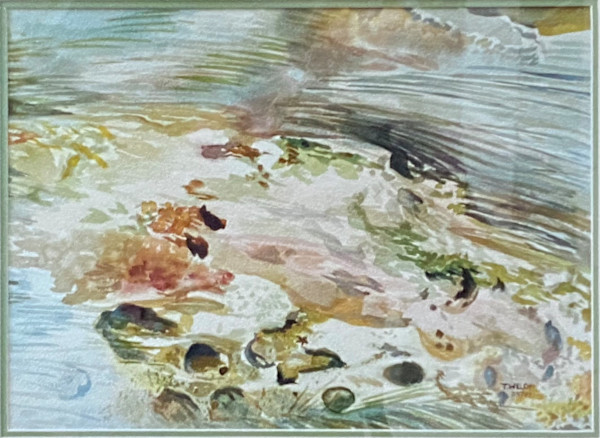 Tide Pool by Terrill Welch, Image 1.