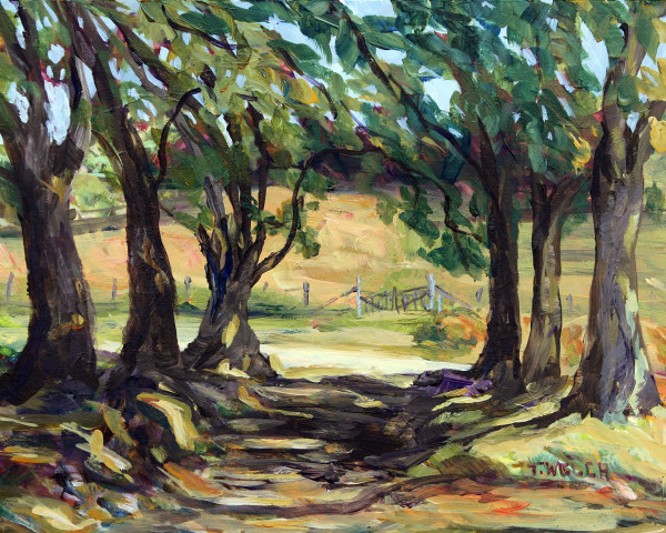 Maple Tree Edged Summer Morning by Terrill Welch