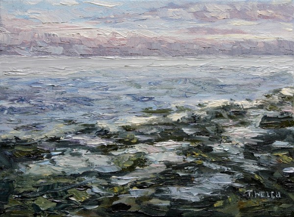 Receding Tide Reef Bay by Terrill Welch 
