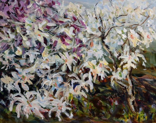 Star Magnolia with Plum Tree by Terrill Welch 