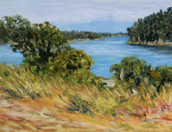 Summer Seas by Terrill Welch 