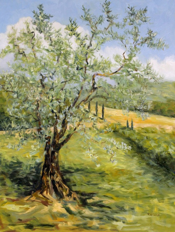 The Olive Tree by Terrill Welch 