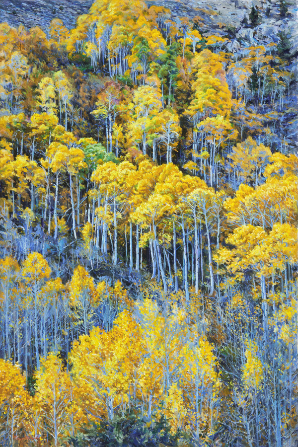 Aspens On the Canyon Wall