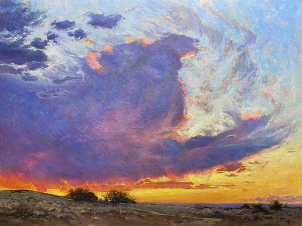 Desert Sunset - On the Mesa by Daniel Mundy