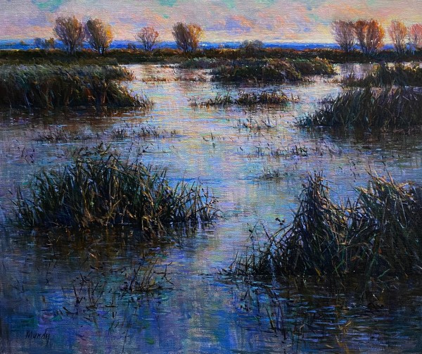 Morning Marsh - Wetlands by Daniel Mundy
