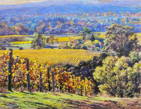 Napa Valley Overlook by Daniel Mundy