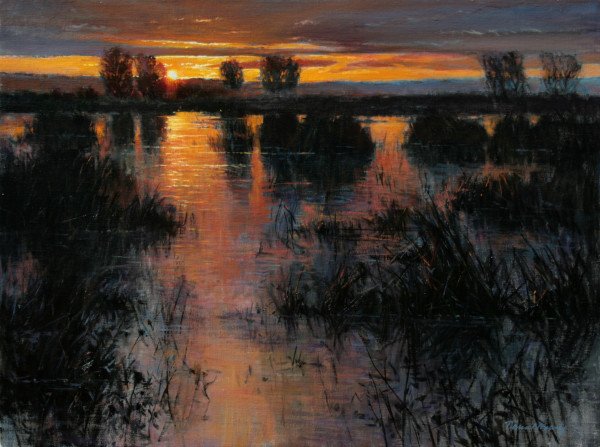 Sundown Over the Marsh