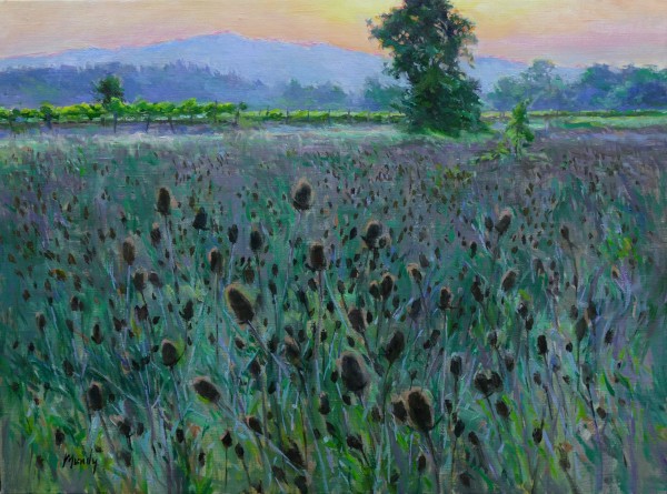 The Thistle Field