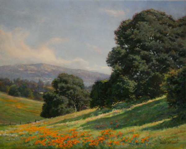 View into Sonoma Valley