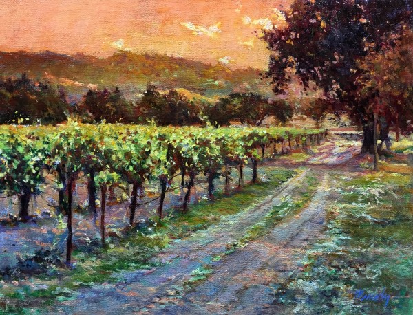 Vineyard Evening