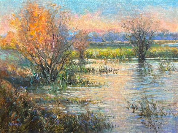 Yolo Marsh Sunrise by Daniel Mundy