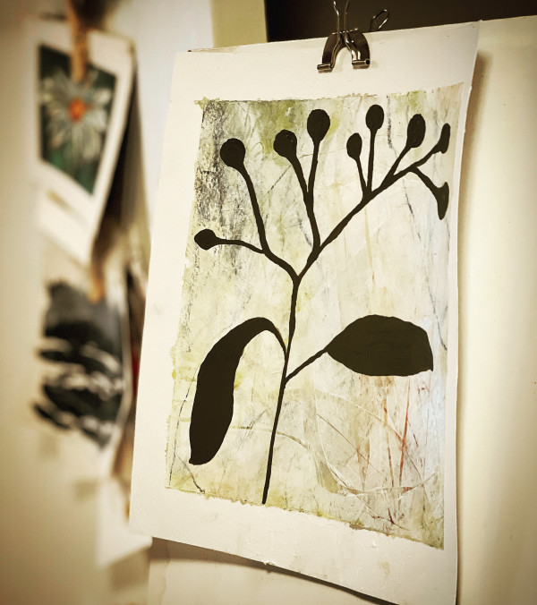 Olive Branch by Cynthia Berg
