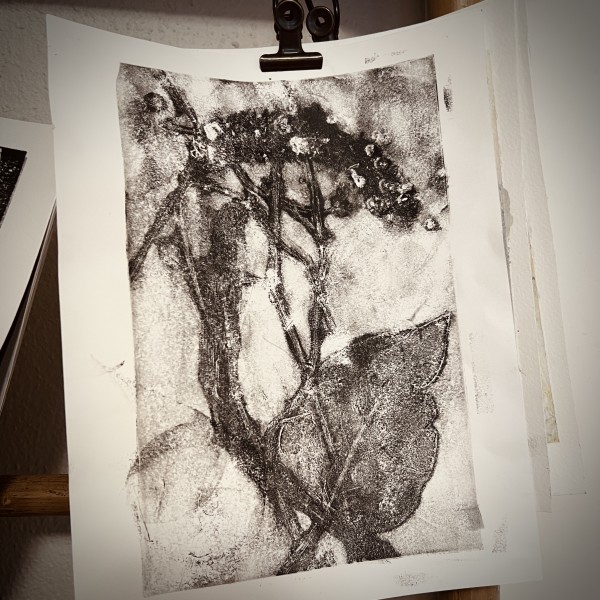 Hydrangea monoprint by Cynthia Berg
