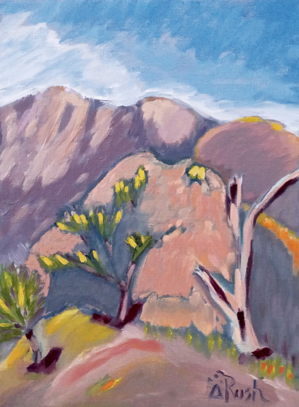 Ryal Canyon - Interior Silence by Mary Rush