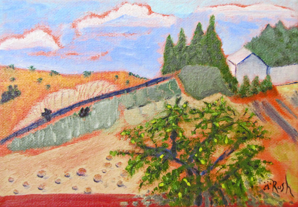 View of Fitness Hill by Mary Rush