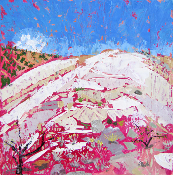 Salt Mine Giggles by Mary Rush