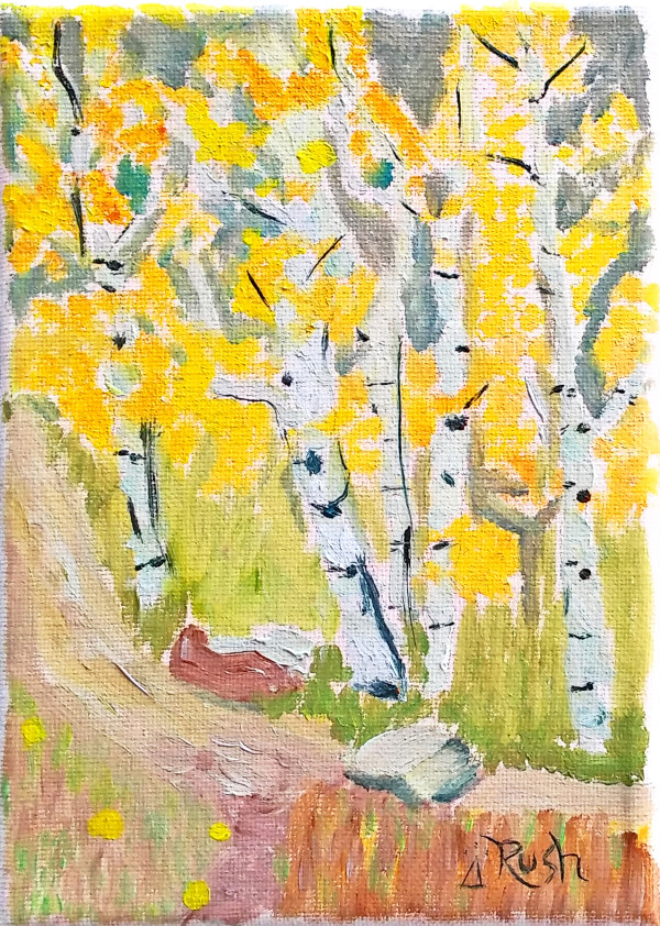 Yellow Aspens in Flagstaff, Arizona by Mary Rush