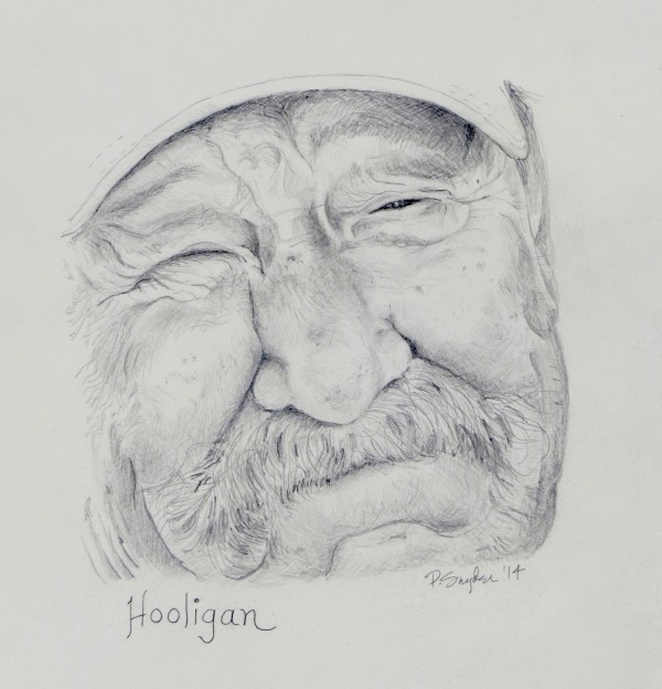 Hooligan by Peter F Snyder