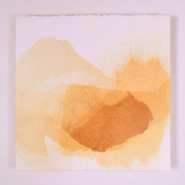 Dunes at Golden Hour #11 by Megan Broughton