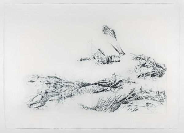 Fog Apparition 2/5 by Megan Broughton