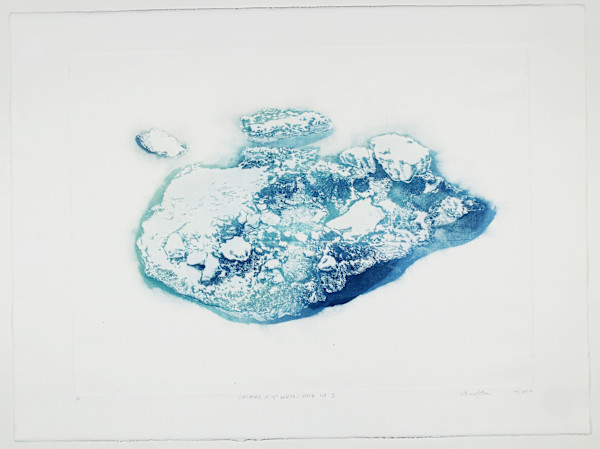 Pack Ice I #6 by Megan Broughton