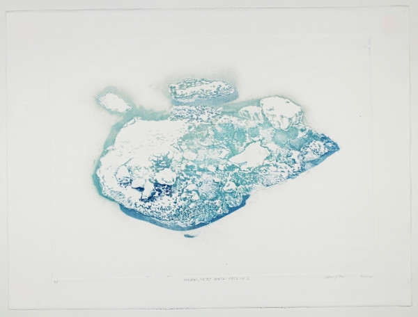 Pack Ice I #7 by Megan Broughton
