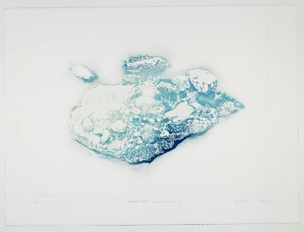 Pack Ice I #8 by Megan Broughton