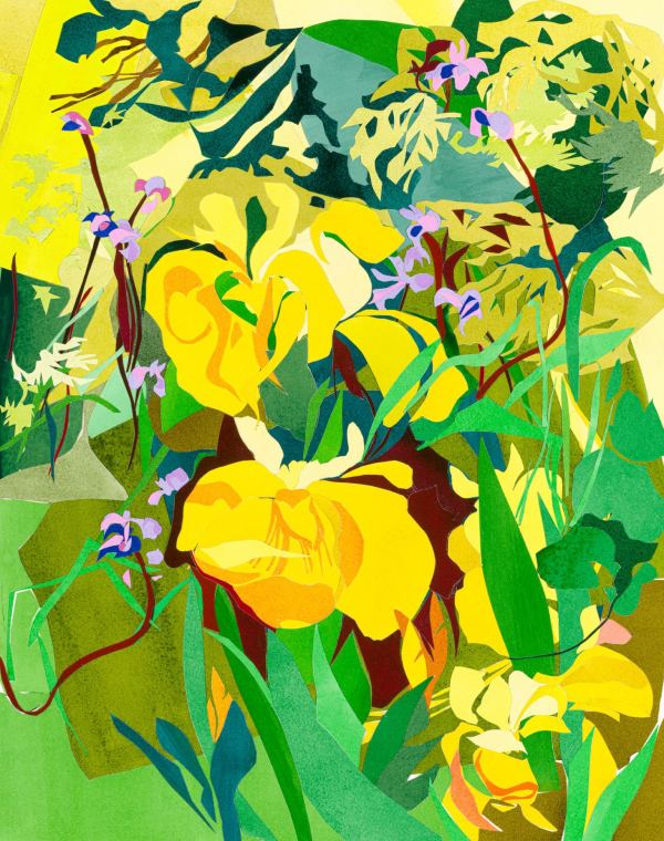Grigadale Irises by Jennie Tuffs