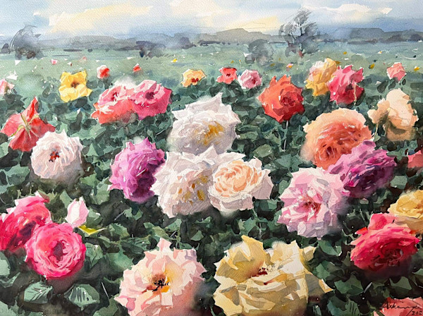 Rose Garden by Arkar Myo