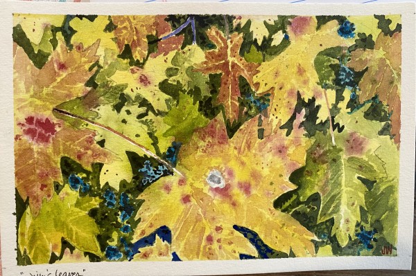 Jilly’s Leaves by Jim White