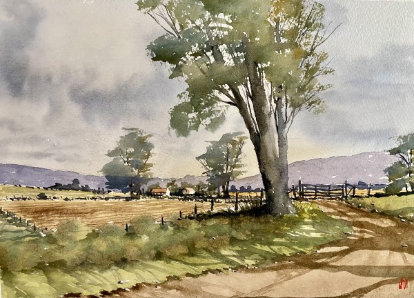 Appalachian Foothills. Habersham Co., Georgia by Jim White