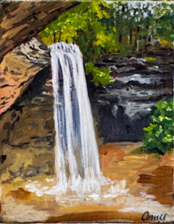 Cliff Falls by Amy Holland