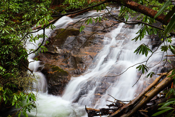 Mountain Laurel Framed Waterfall by Jonah Daugherty