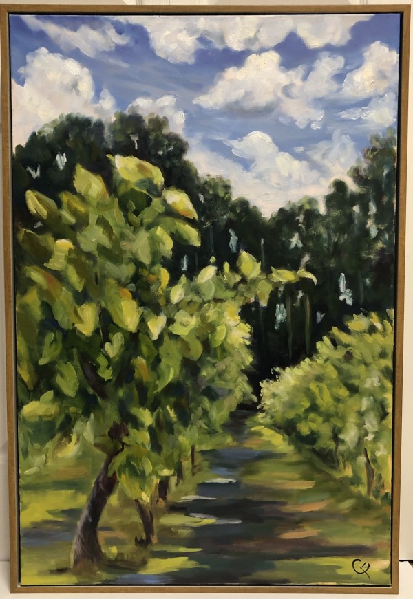 Shadows Between the Vines by Cindy Flynn