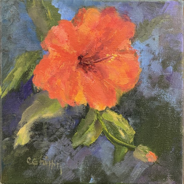 Hibiscus by Carol Griffin