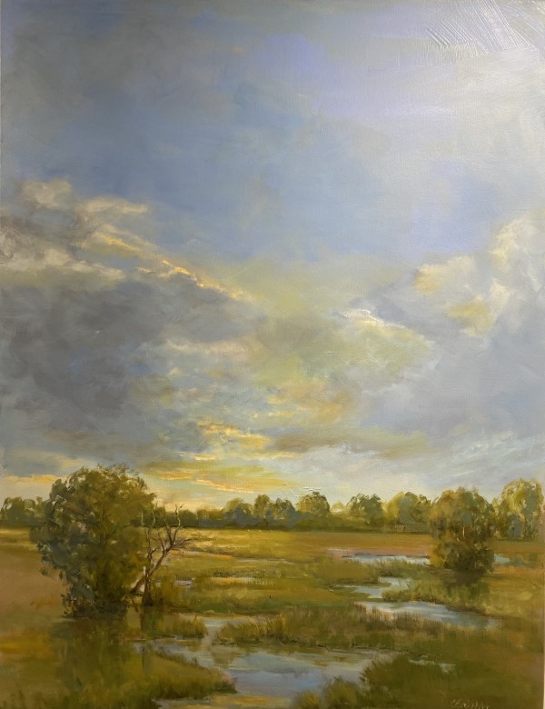 Afternoon Light on the Marsh by Carol Griffin