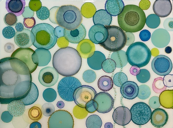 Chrysaora fuscescens by Melissa Flattery