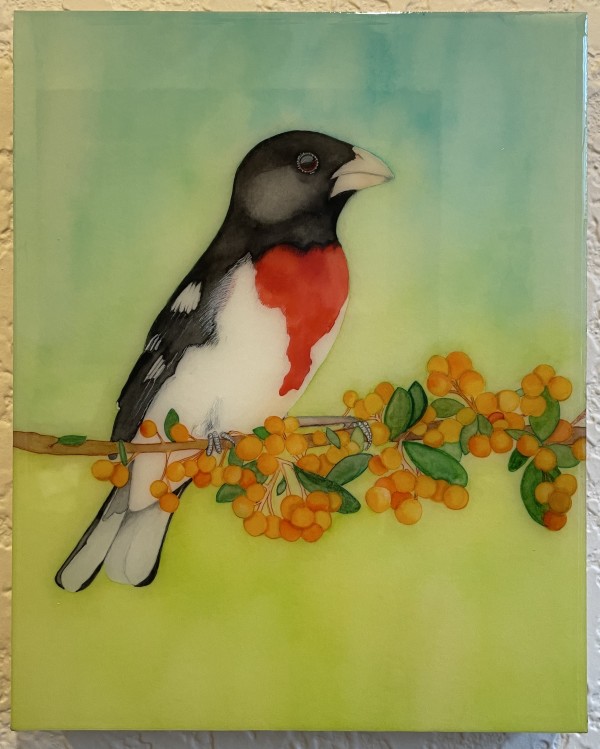 Rose-Breasted Grosbeak II by Melissa Flattery