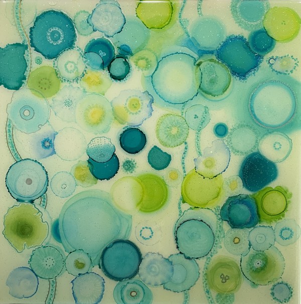 Aurelia aurita by Melissa Flattery