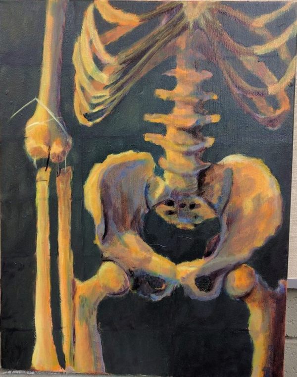 Skeleton Color Study by Audrey Laine Studios