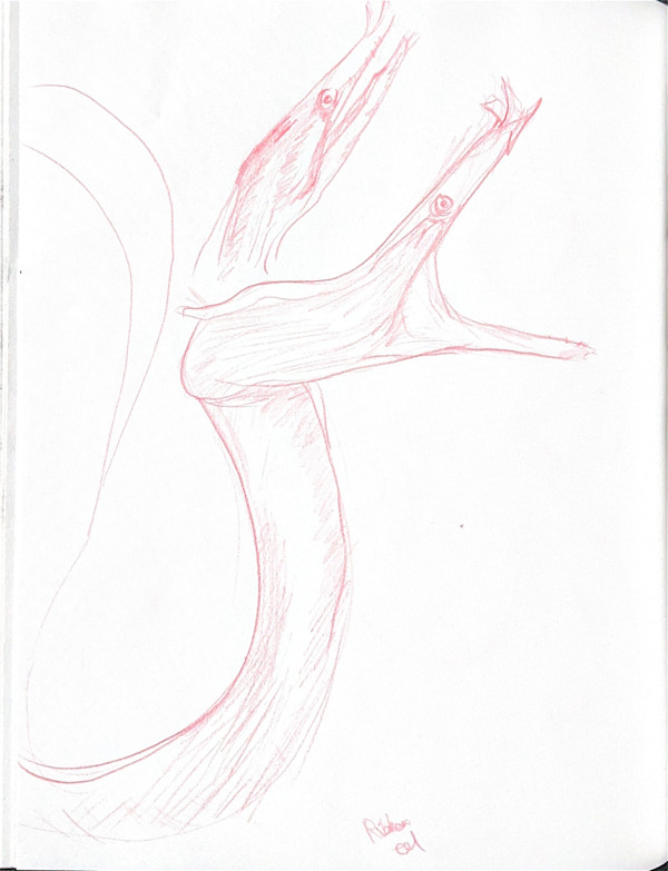 Ribbon Eel by Audrey Laine Studios