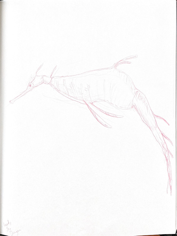 Weedy Sea Dragon by Audrey Laine Studios