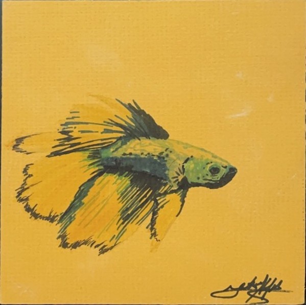 Betta Fish by Jana Renée