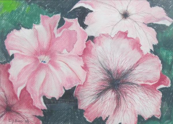 Untitled by Elzy (E.J.) Bird